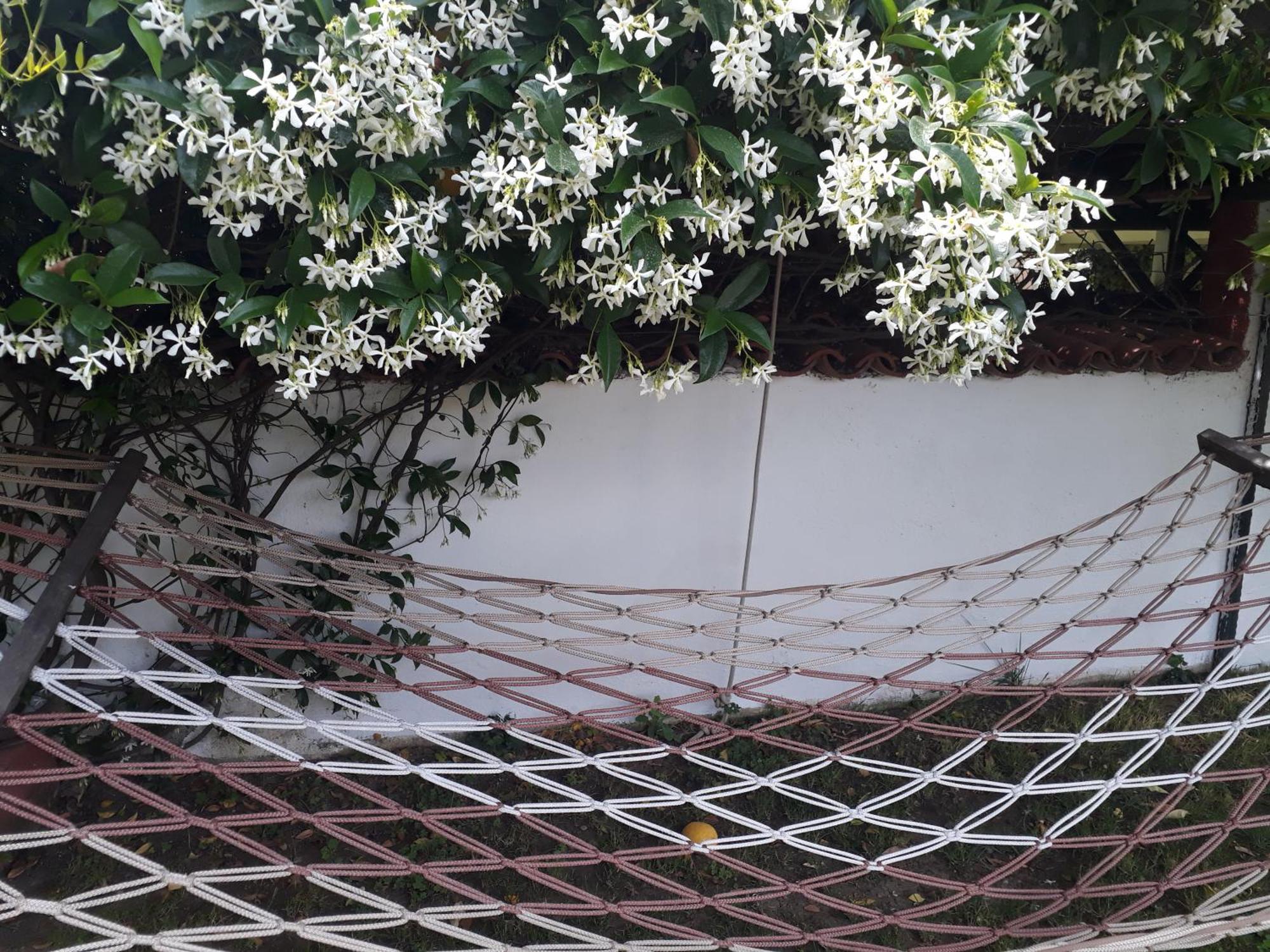 Kybelehotel Fethiye Exterior photo